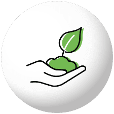 Detoxification-225-20220608001 Detoxification Detox from home and environmental toxins in food, water, air and household products