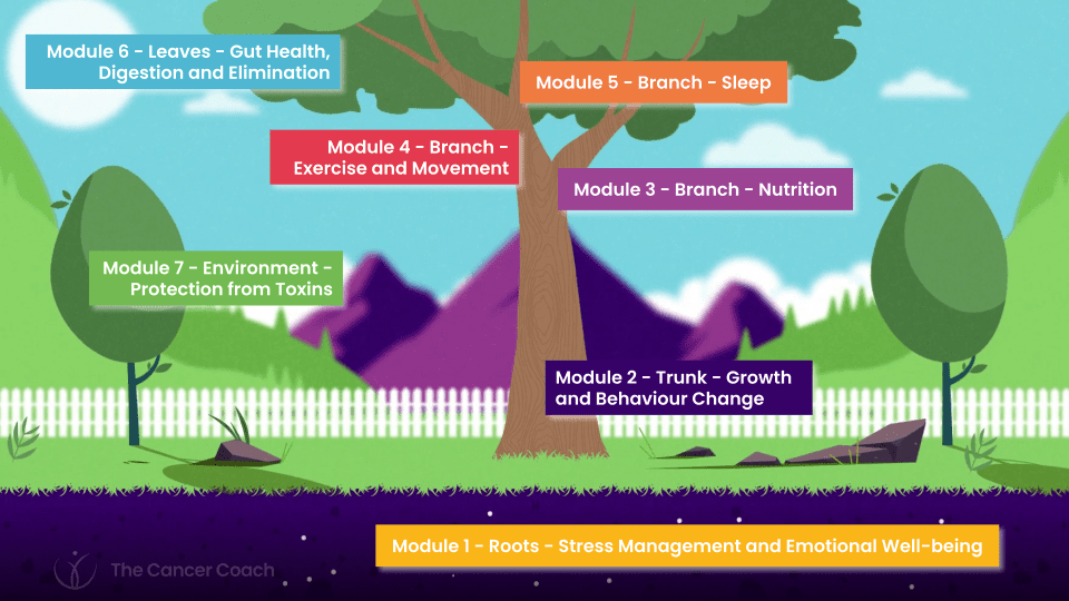 Delivered in 7 modules Delivered in 7 modules